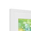 Fine art print in white frame with white mount. Top corner detail