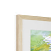 Daisy Flowers in the Sunshine, fine art print. Close up of top corner detail and the natural frame and white mount.