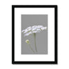 White and grey floral art print in black frame with white mount