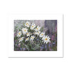 White daisy flowers, modern flower print with white border. Landscape format