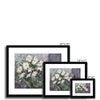 Fashionable white daisy flowers artwork, fine art prints in black frame with white mount. Different sizes