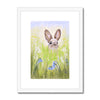 Rabbit in the meadow flowers. Fine art print with white frame and a white mount.