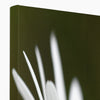 White daisy flower canvas print. Image wrap. Corner detail.